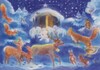 Advent met de dieren