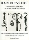 Urformen der Kunst (antiquariaat)