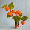 Viltpakket - Lampionplantje