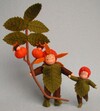 Viltpakket - Rozenbottel