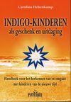 Indigo-kinderen