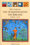 Het verhaal van de koningszoon van Ierland