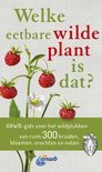 Welke eetbare wilde plant is dat?