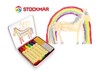 Regenboogkrijtjes