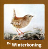 De Winterkoning