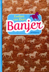 Banjer