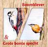Boomklever & Grote bonte specht