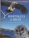 Roofvogels & uilen
